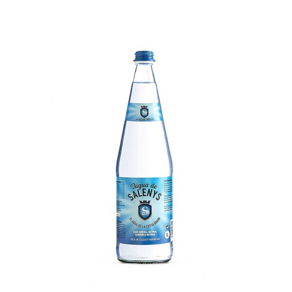 Agua Salenys 500 ml